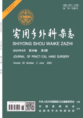 实用手外科杂志杂志